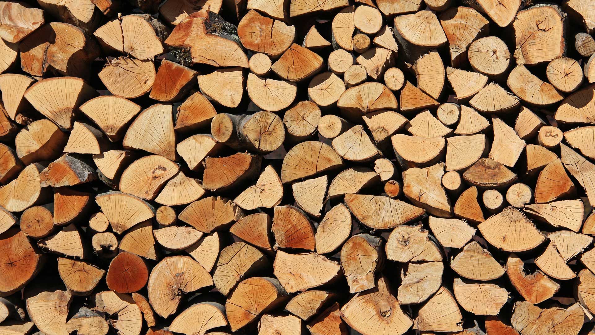 firewood-logs