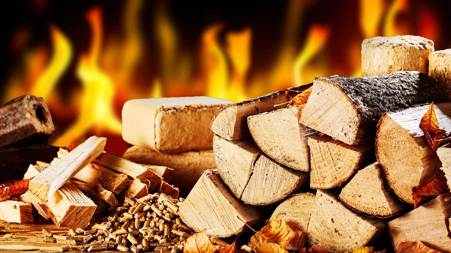 chopped-season-logs-fire